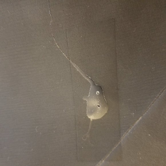 Orca women's medium sleeveless wetsuit - Picture 5 of 6